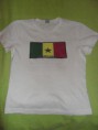 Camisa Feminina ( frente )